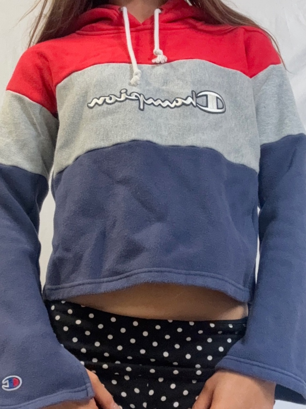 Champion cropped hoodie